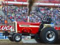 red tractor at a tractor pulling event in front of a bunch of people